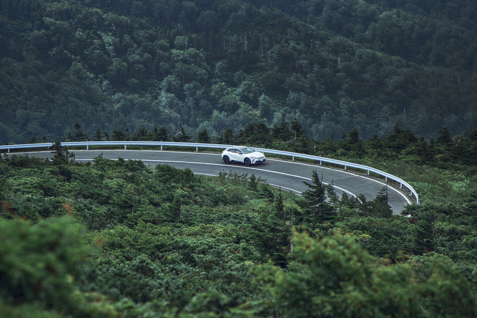 _DSC8494.jpg