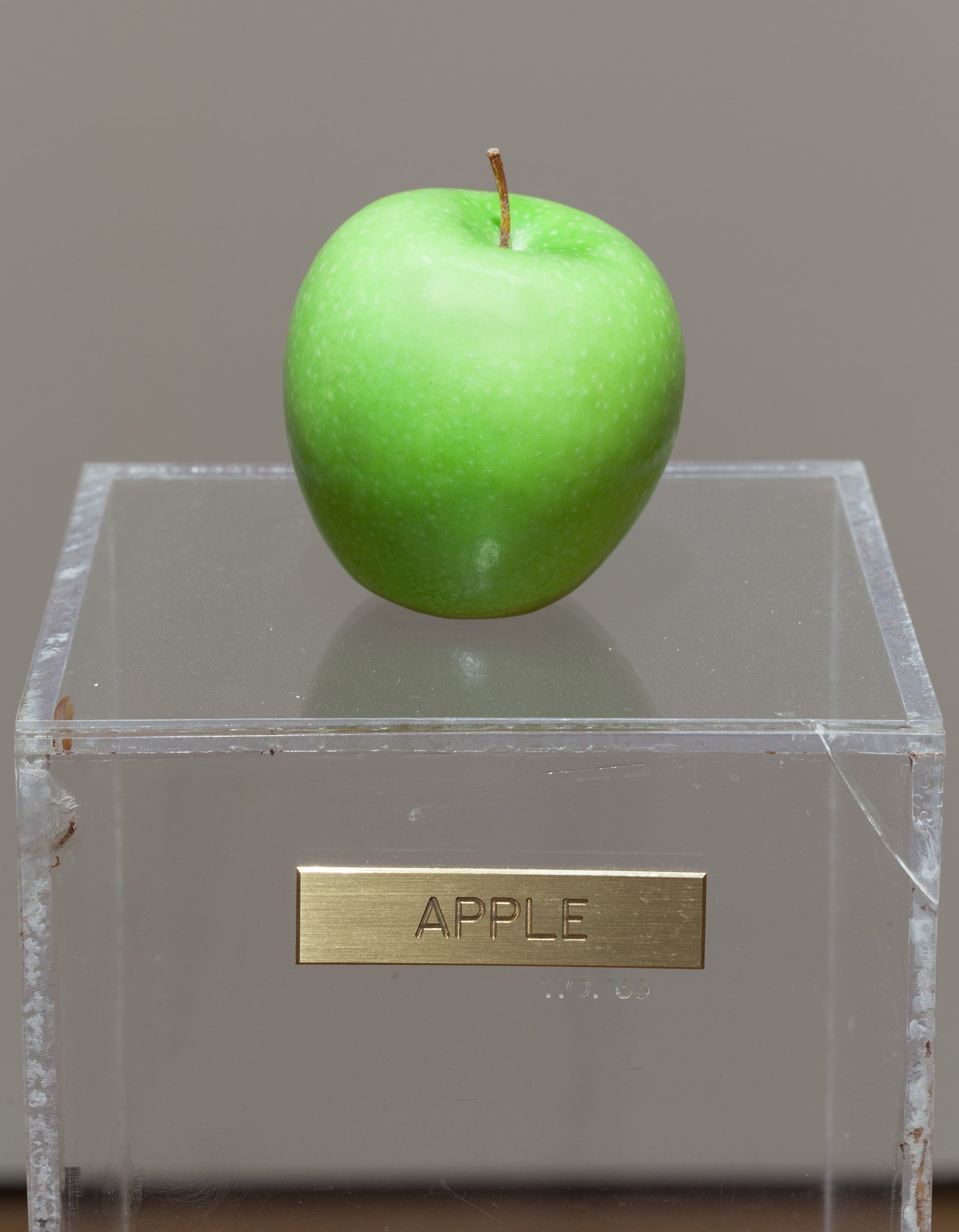 4.Installation view of Apple 1966 from Yoko Ono_ One Woman Show, 1960-1971, MoMA, NYC, 2015. Photo © Thomas Griesel.jpg