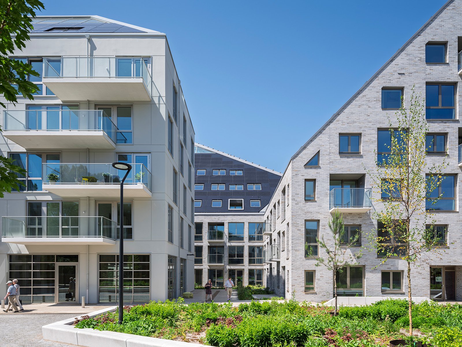 MVRDV Nieuw Bergen 14 ク Ossip van Duivenbode.jpg