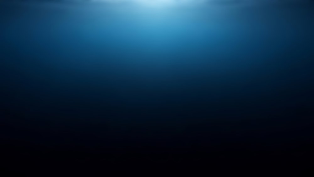 shutterstock_2714431789.jpg