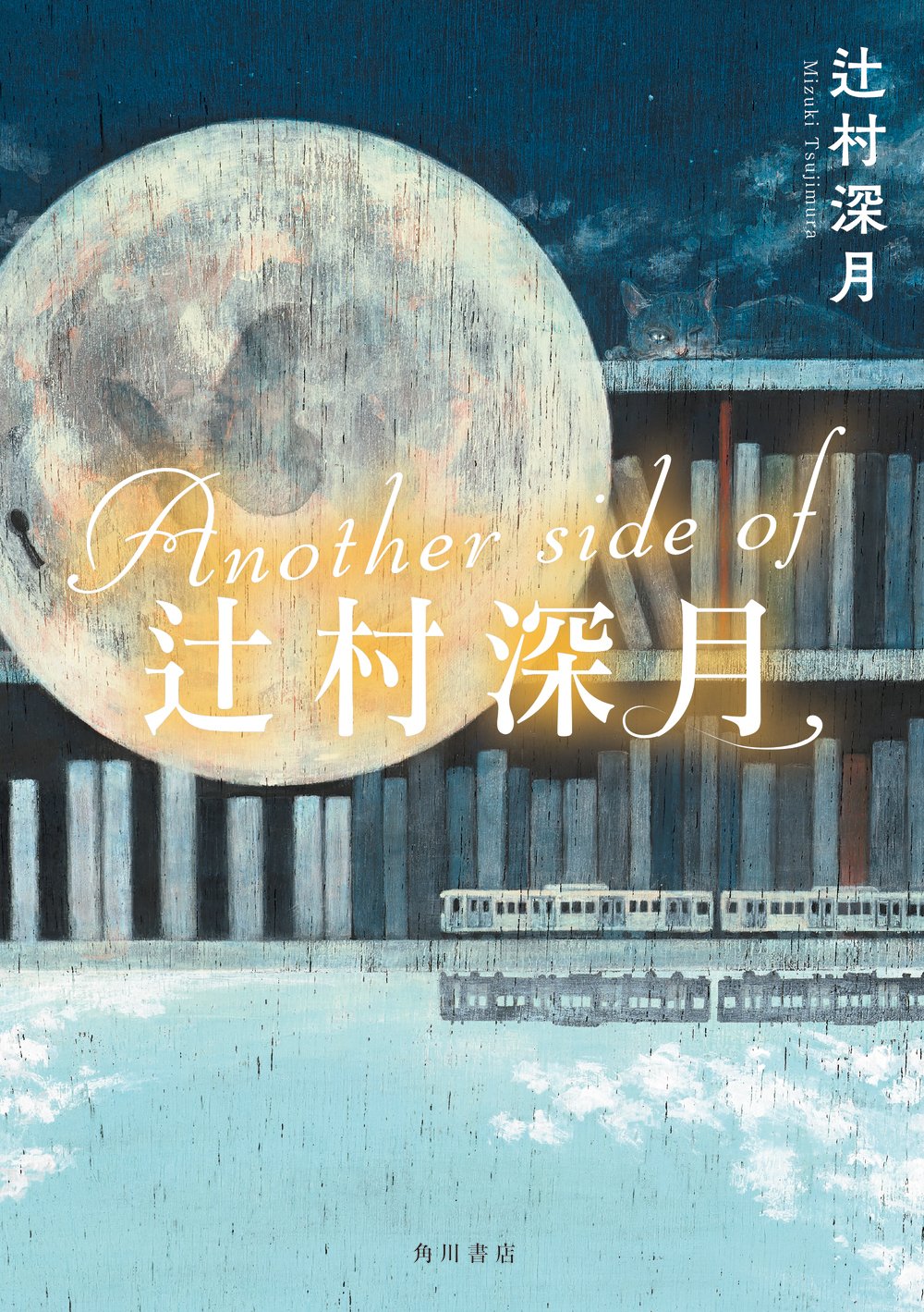 ⑤Another side of 辻村深月書影.jpg