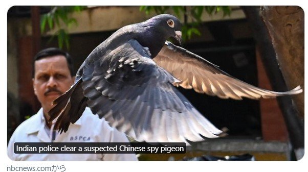 TOP画像 @NBCNews.jpg
