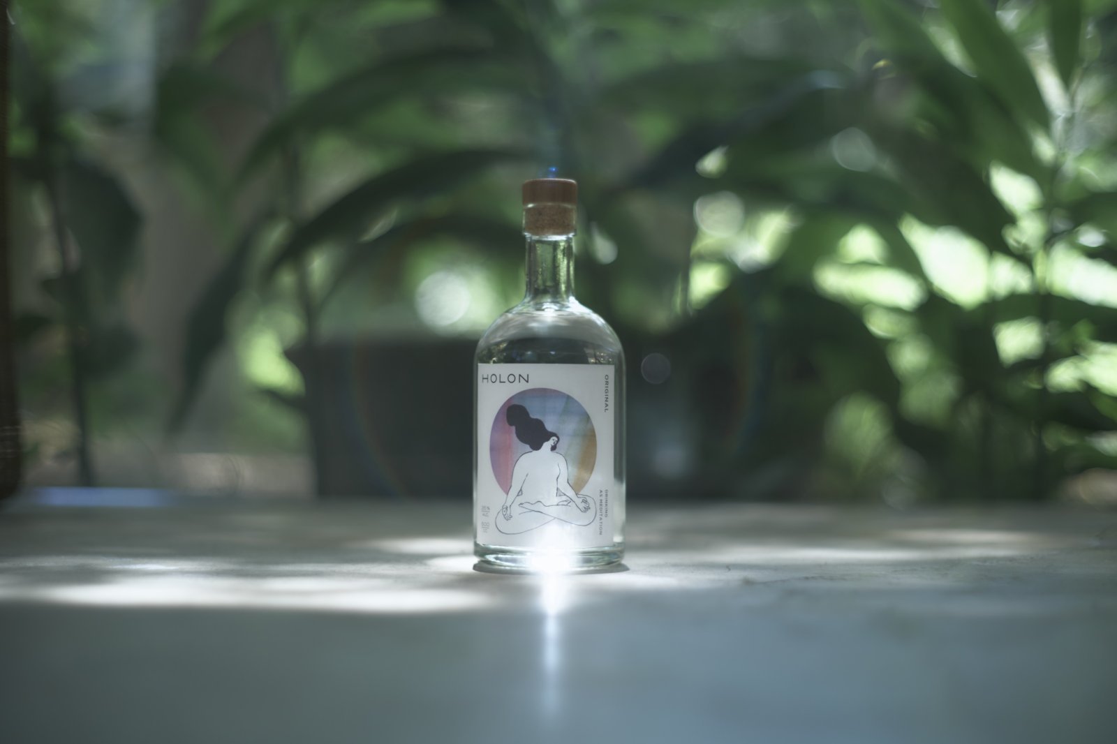 260729_holon1.jpeg