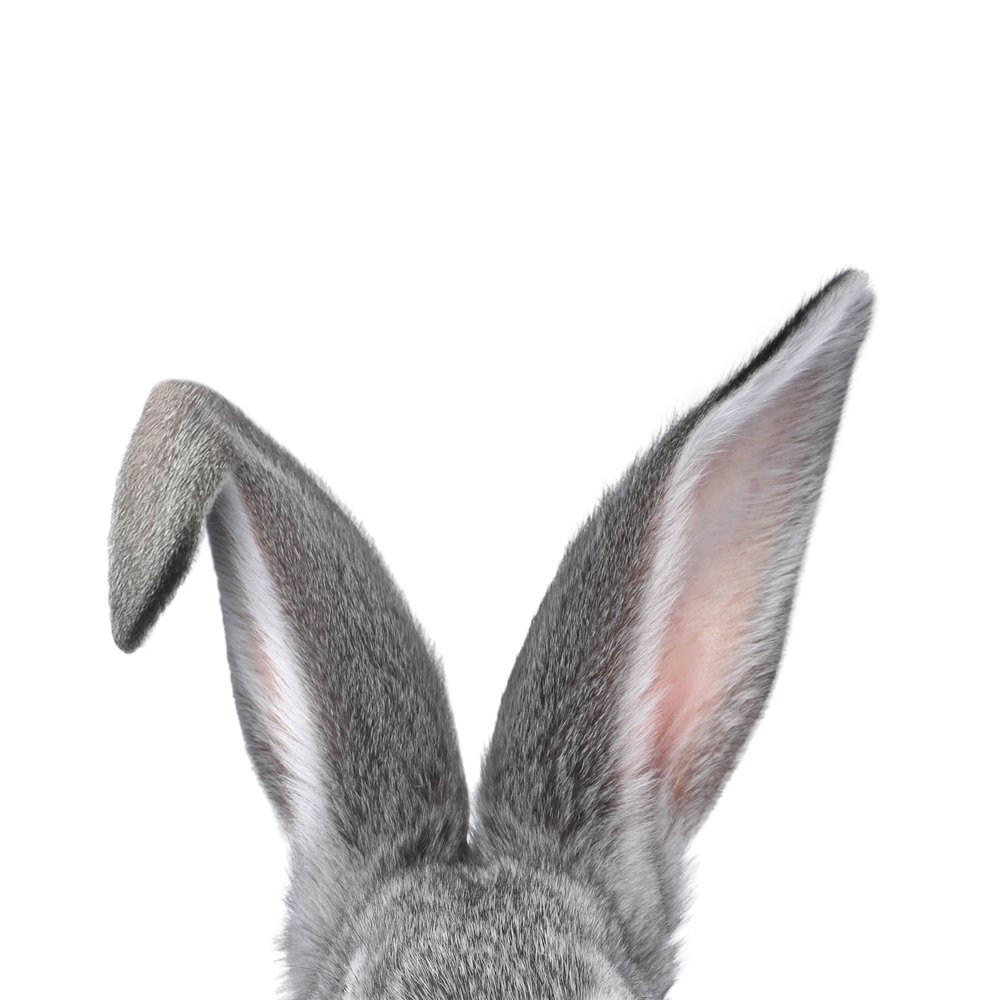 shutterstock_2598858947.jpg