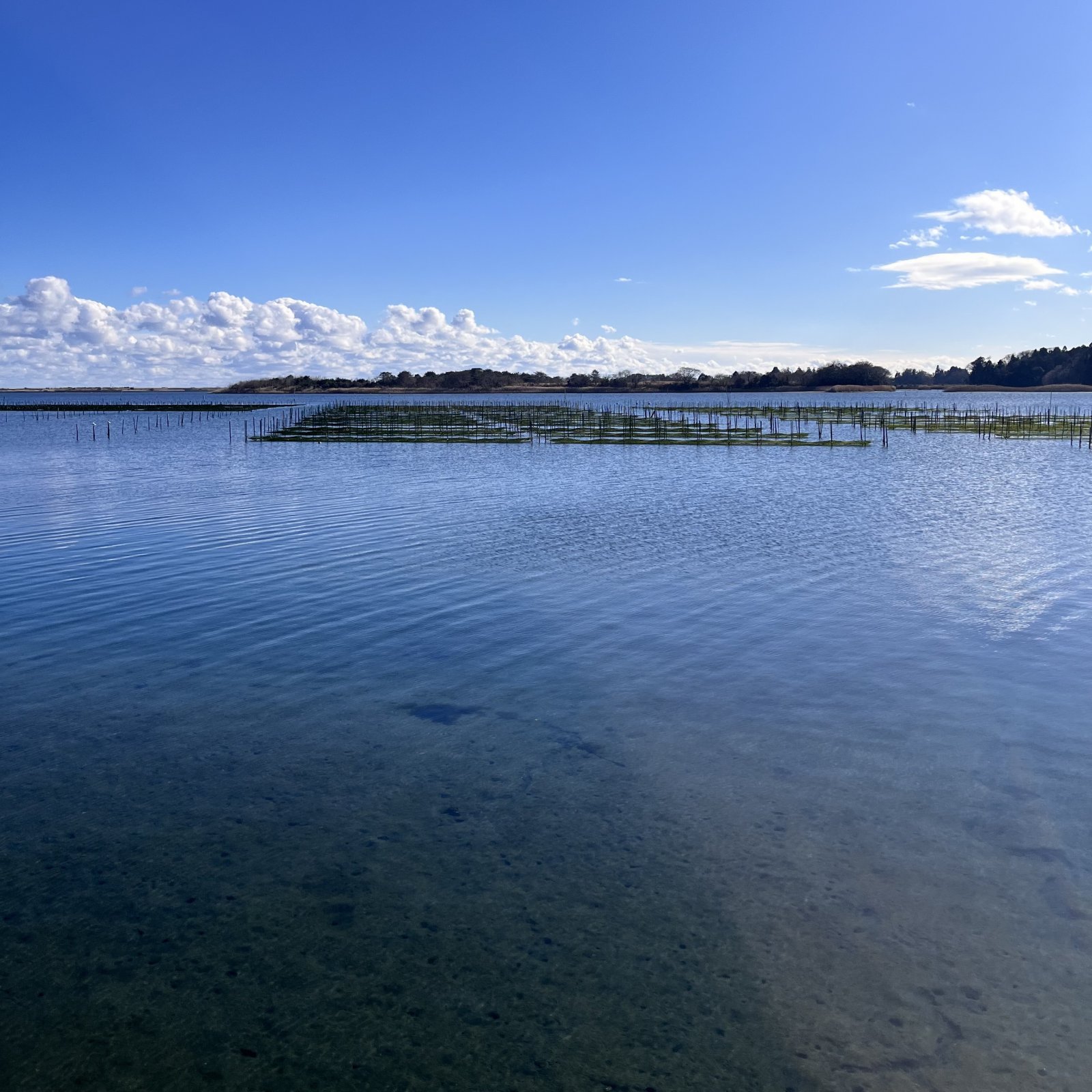松川浦.jpg