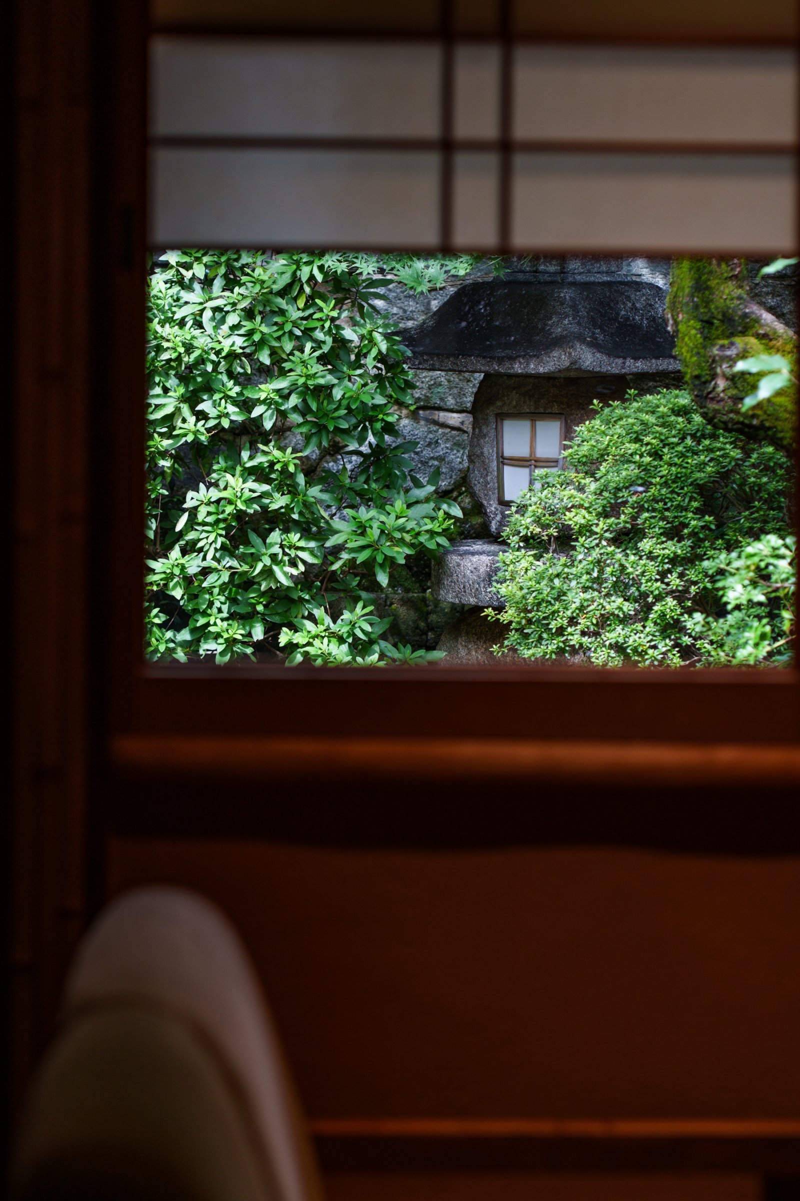 DSC05774.jpg