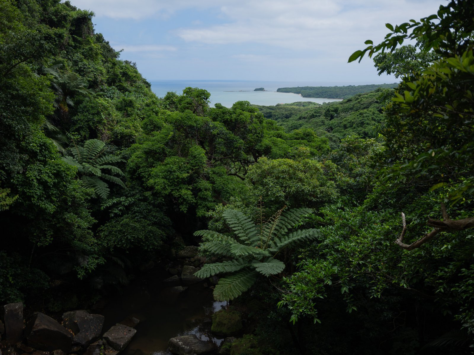 DSCF0383.jpg