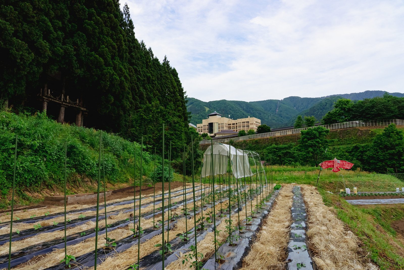 LIFE FARMING CAMP_迴セ蜒・DSC00714.jpg