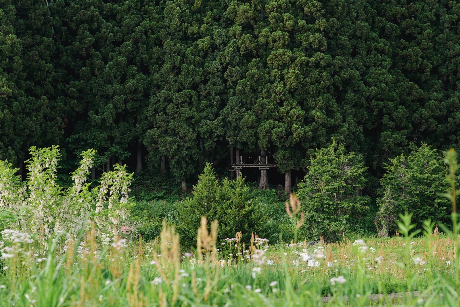 LIFE FARMING CAMP_迴セ蜒・DSC00637.jpg