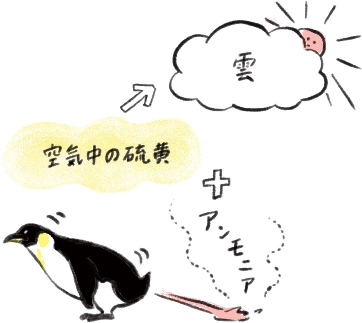 南極　温暖化防止　ペンギン