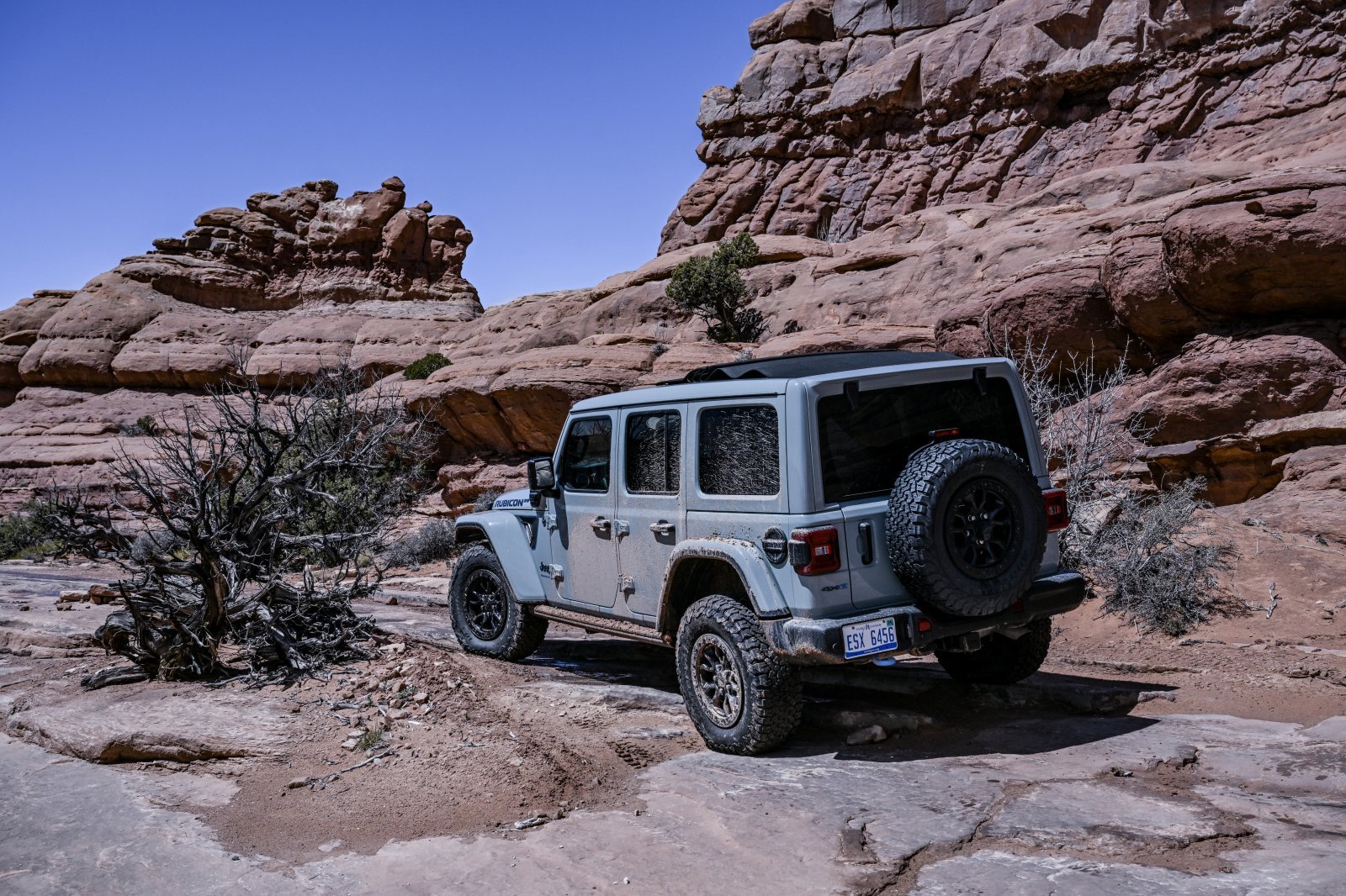 Jeep_EJS_2023_1539reのコピー.jpg