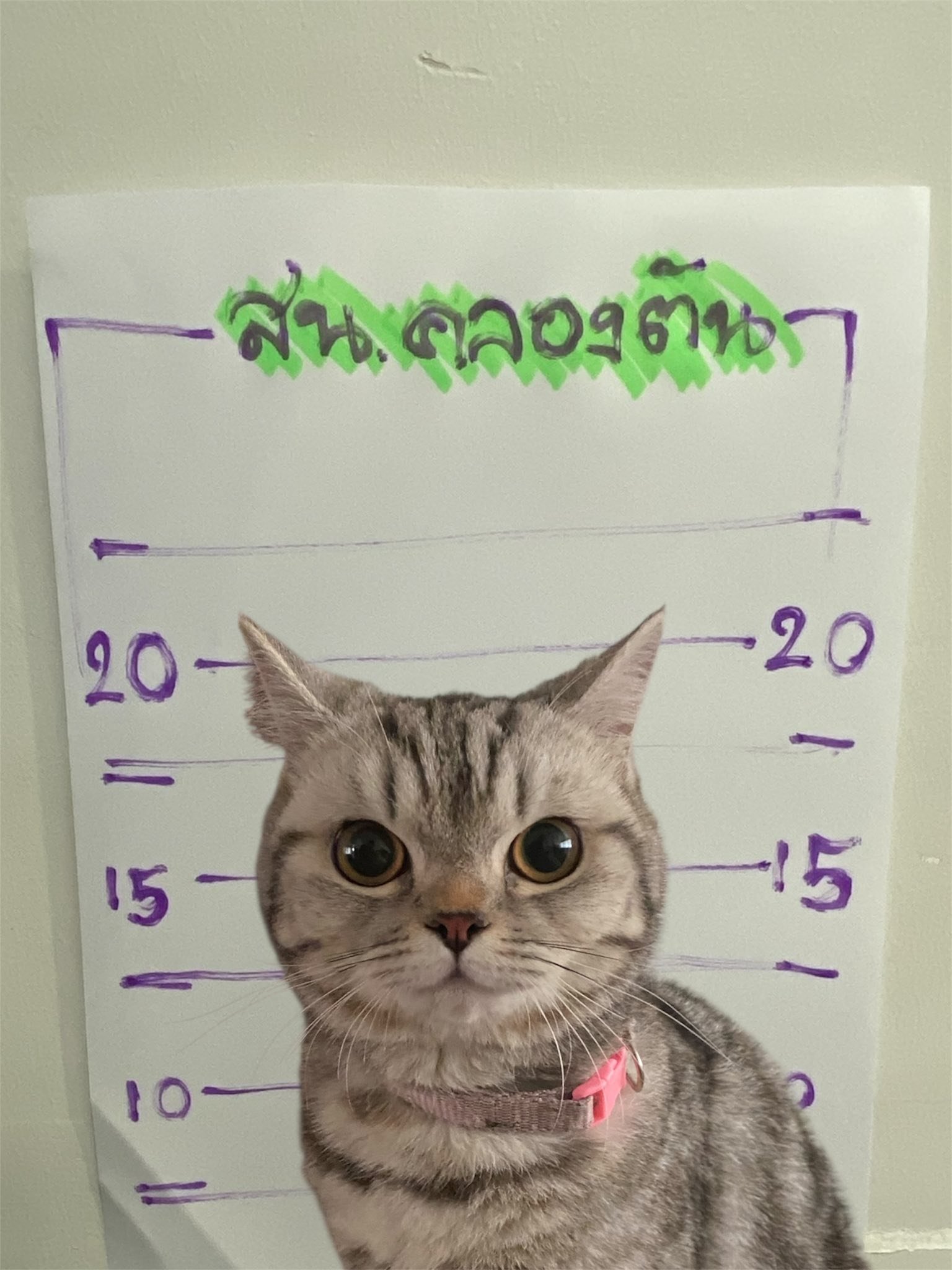 TOP.jpg