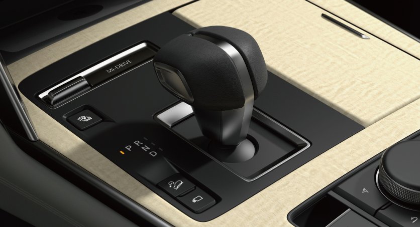 66.cx-60_electric_shift_sのコピー.jpg