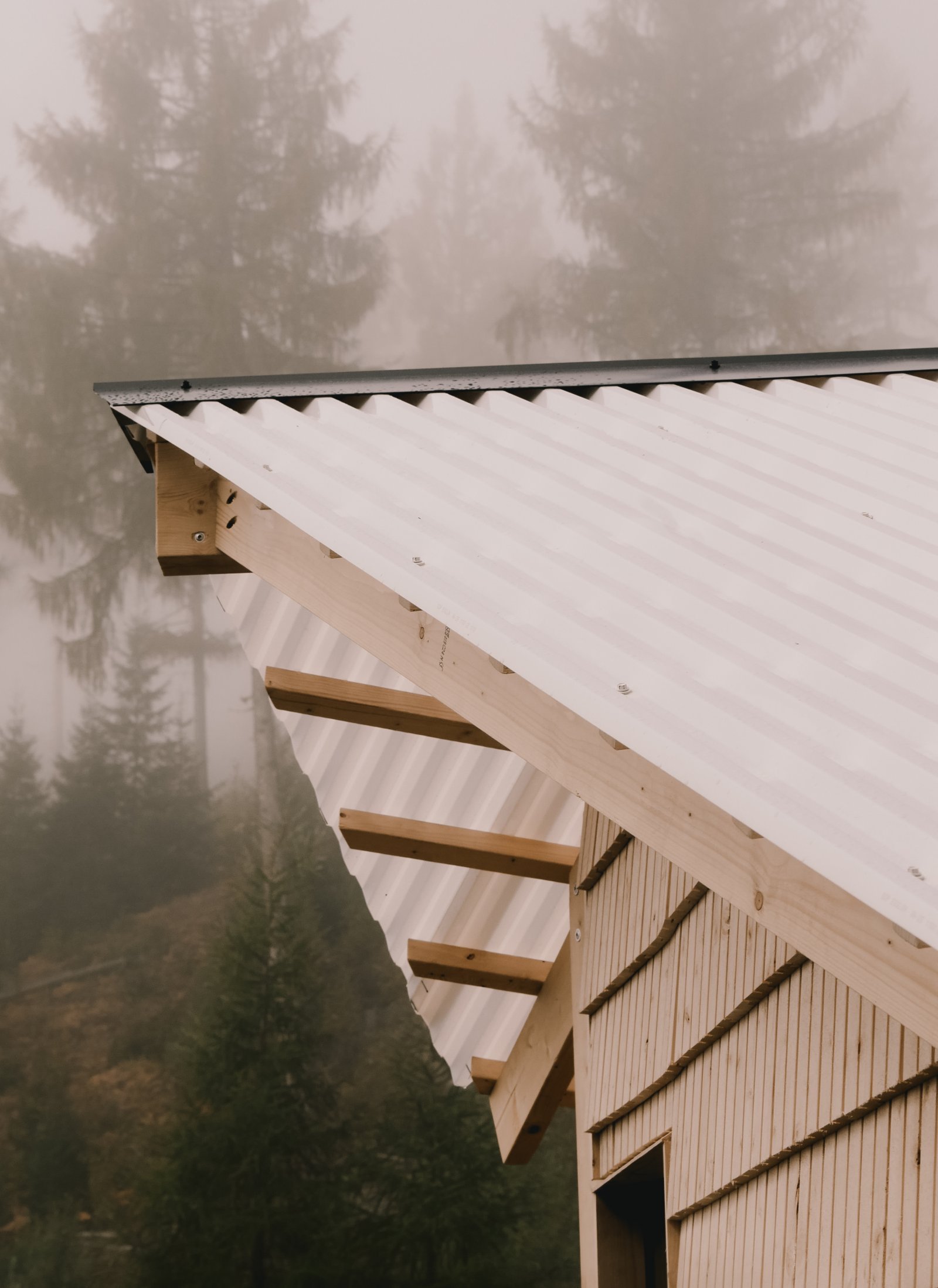 Bianca Daumas_P1180571.jpg