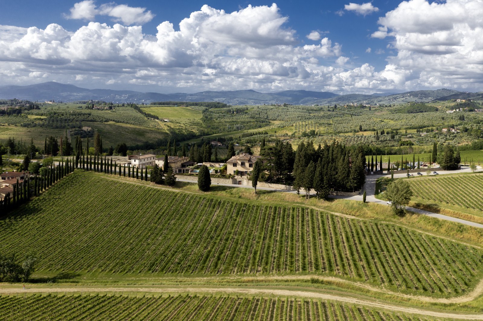 DJI_0232.jpg