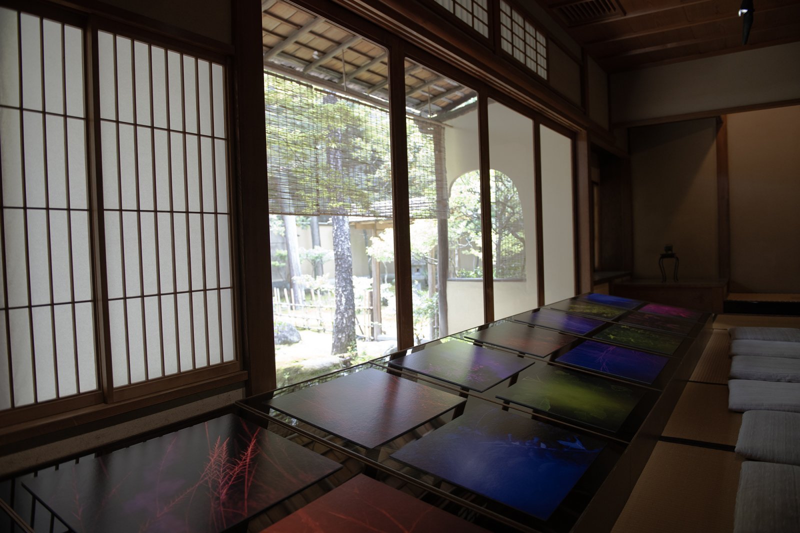 DSC02470.jpg