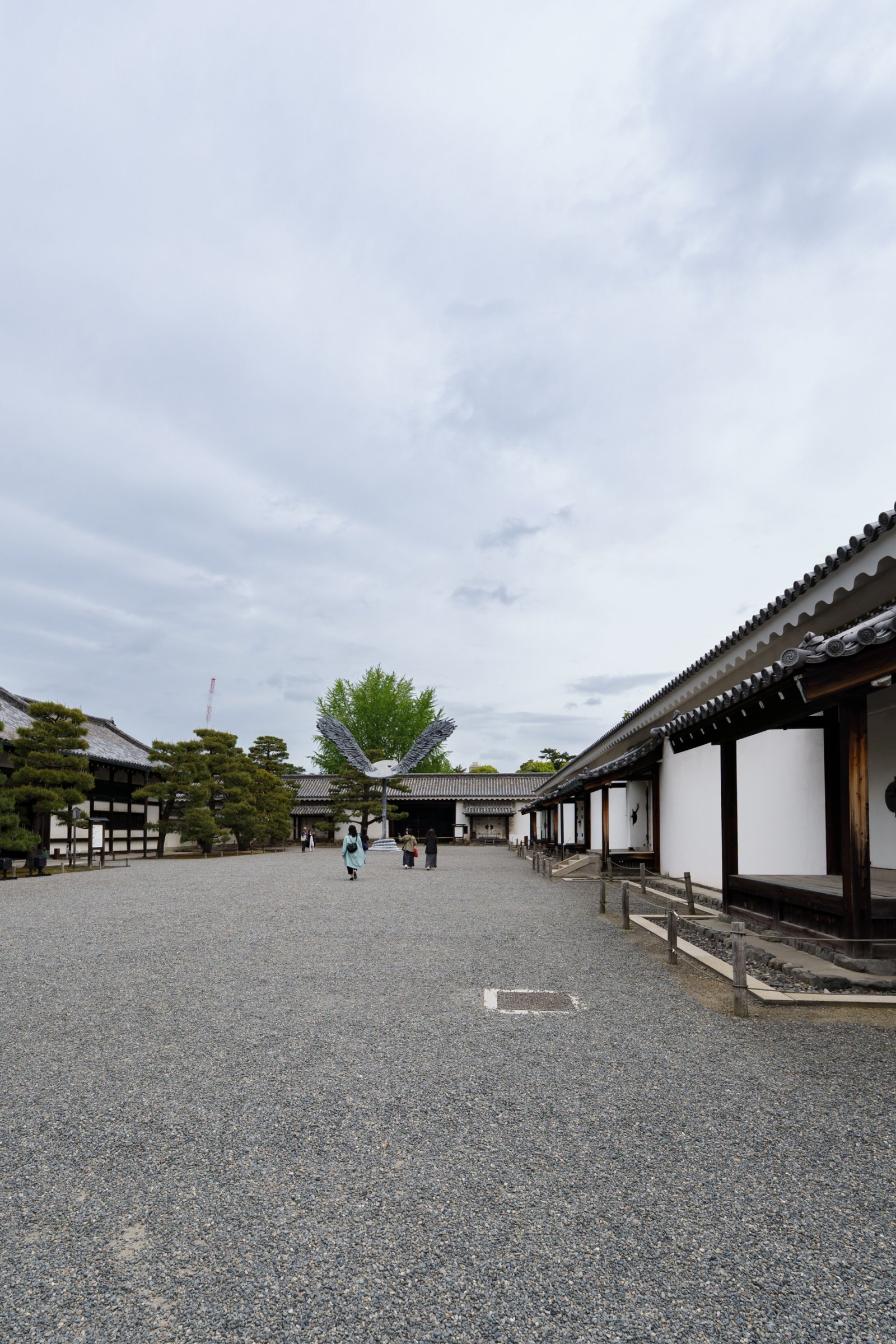 DSC02540.jpg