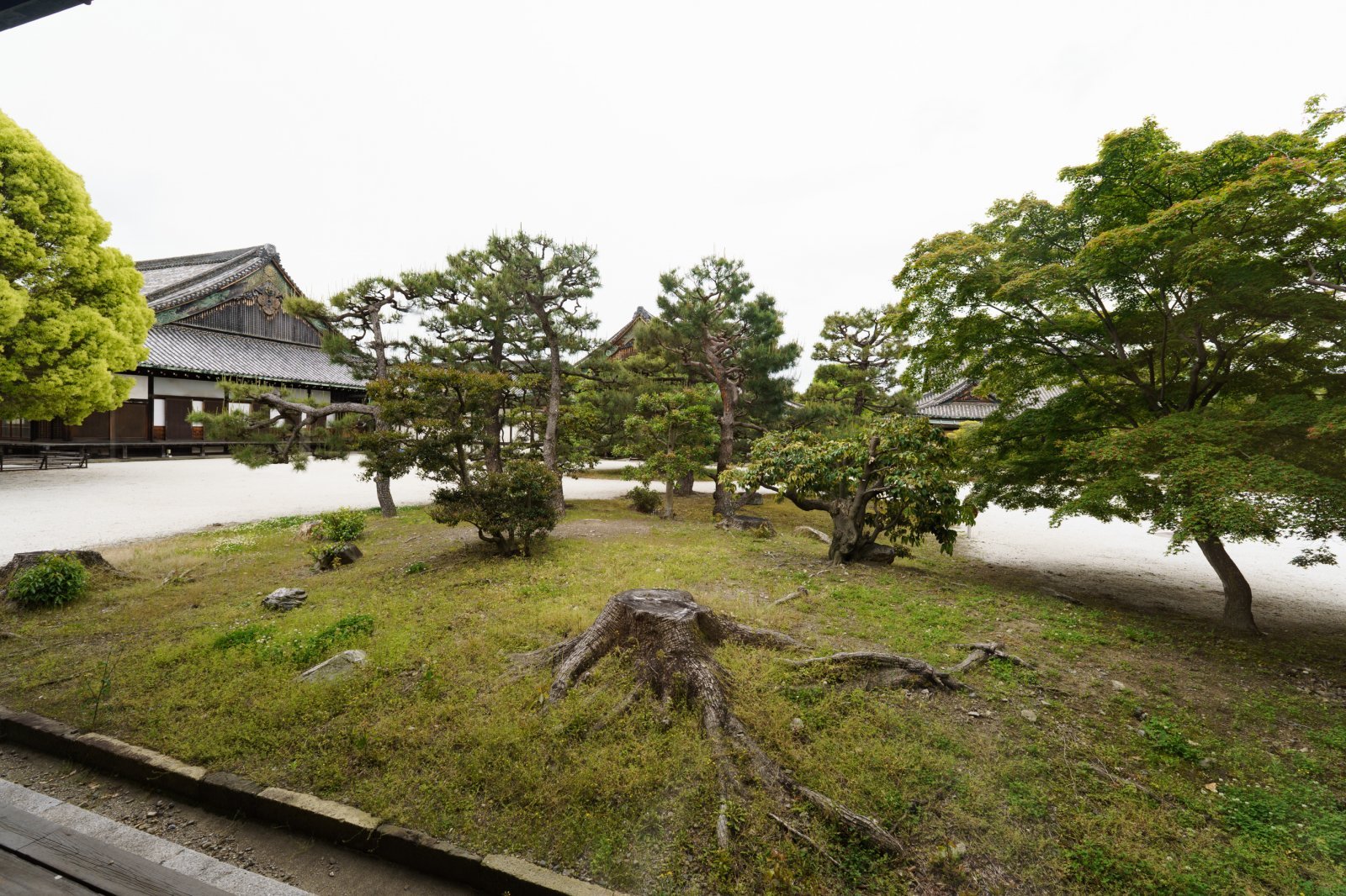 DSC02784.jpg