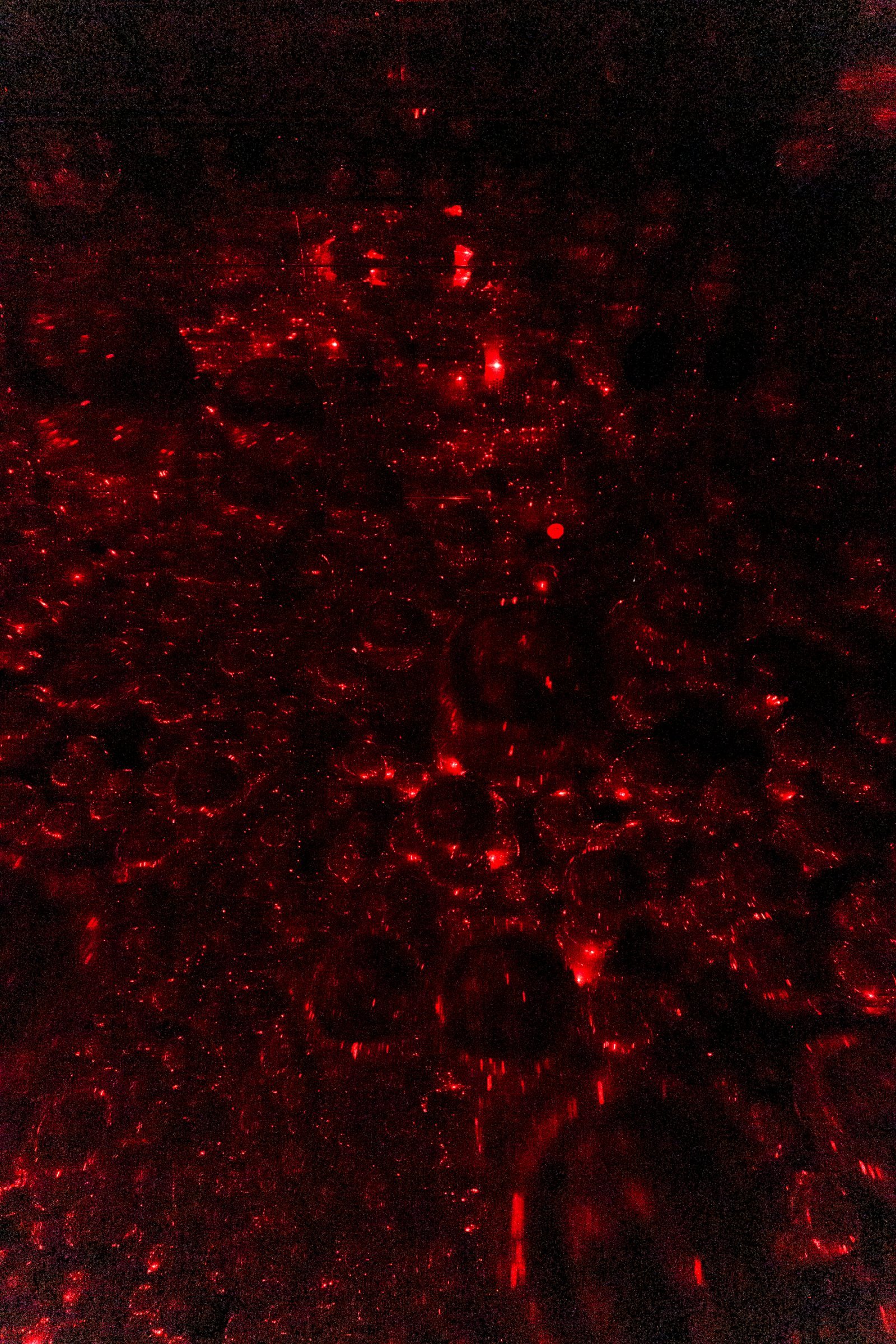DSC03859.jpg