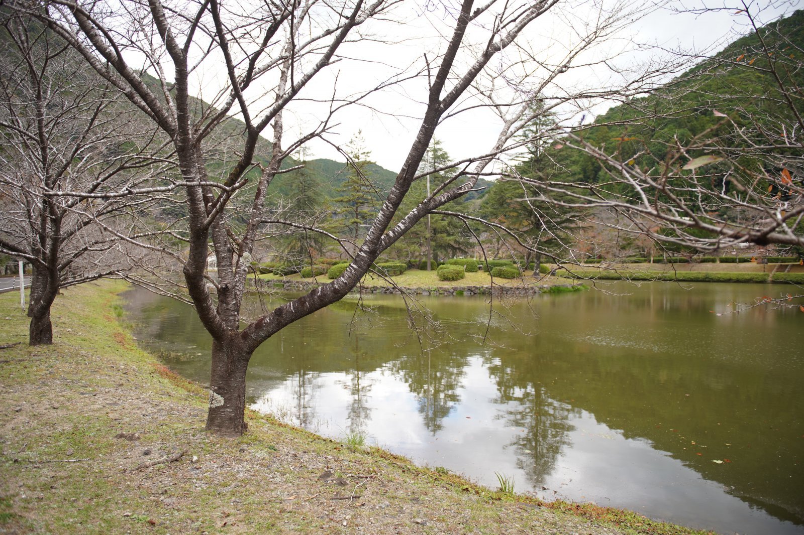 DSC04290.JPG