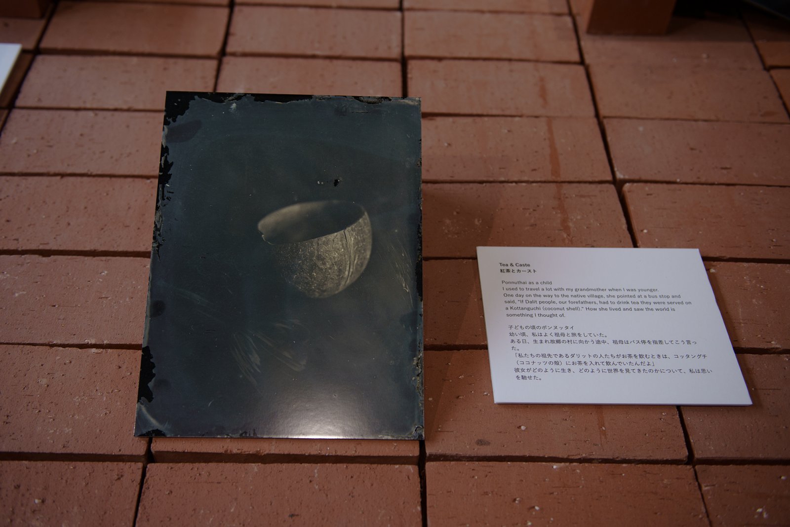 DSC06879.jpg