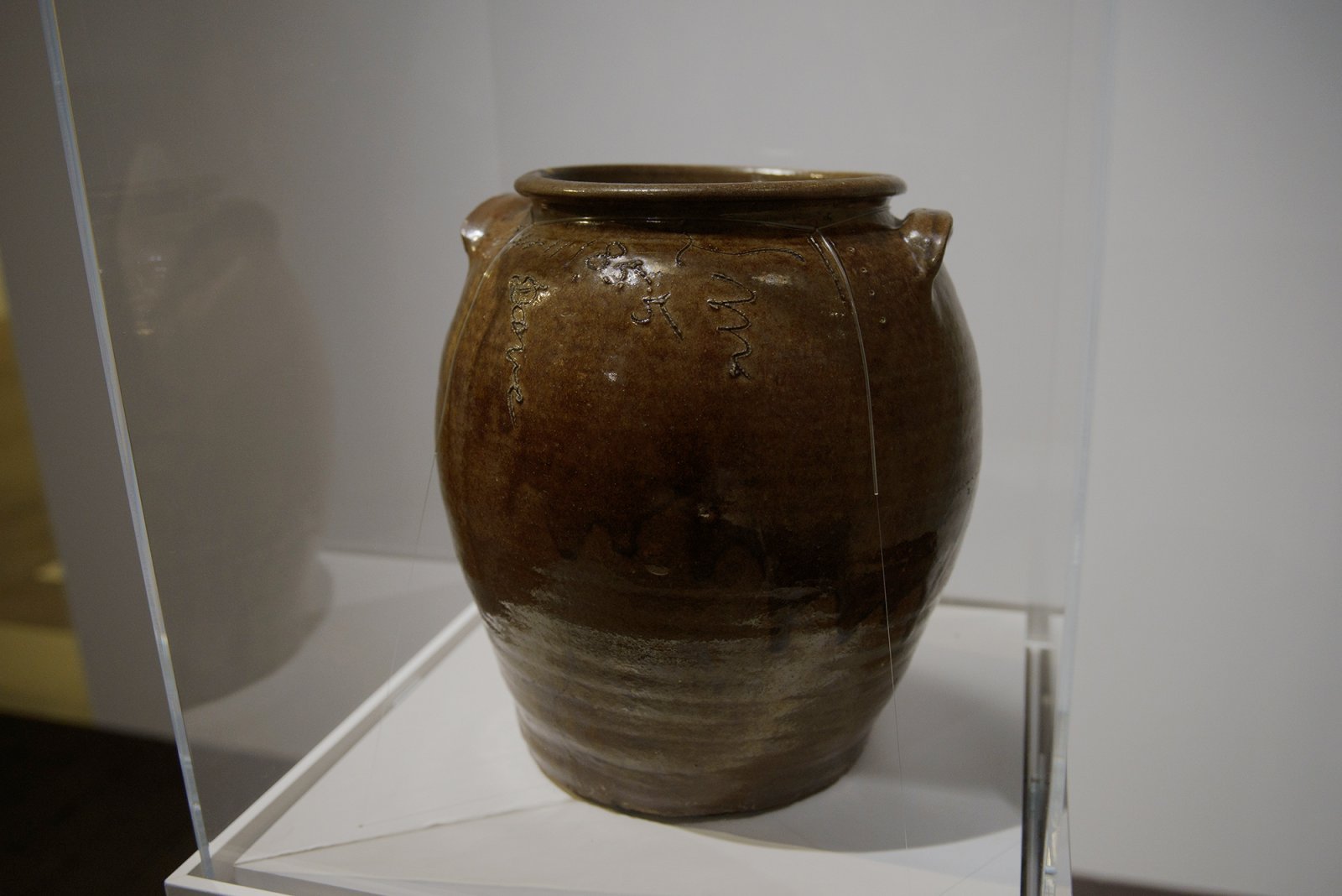 DSC07013.jpg