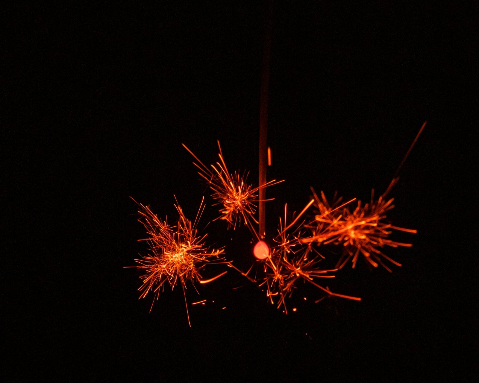 DSC08829.jpg