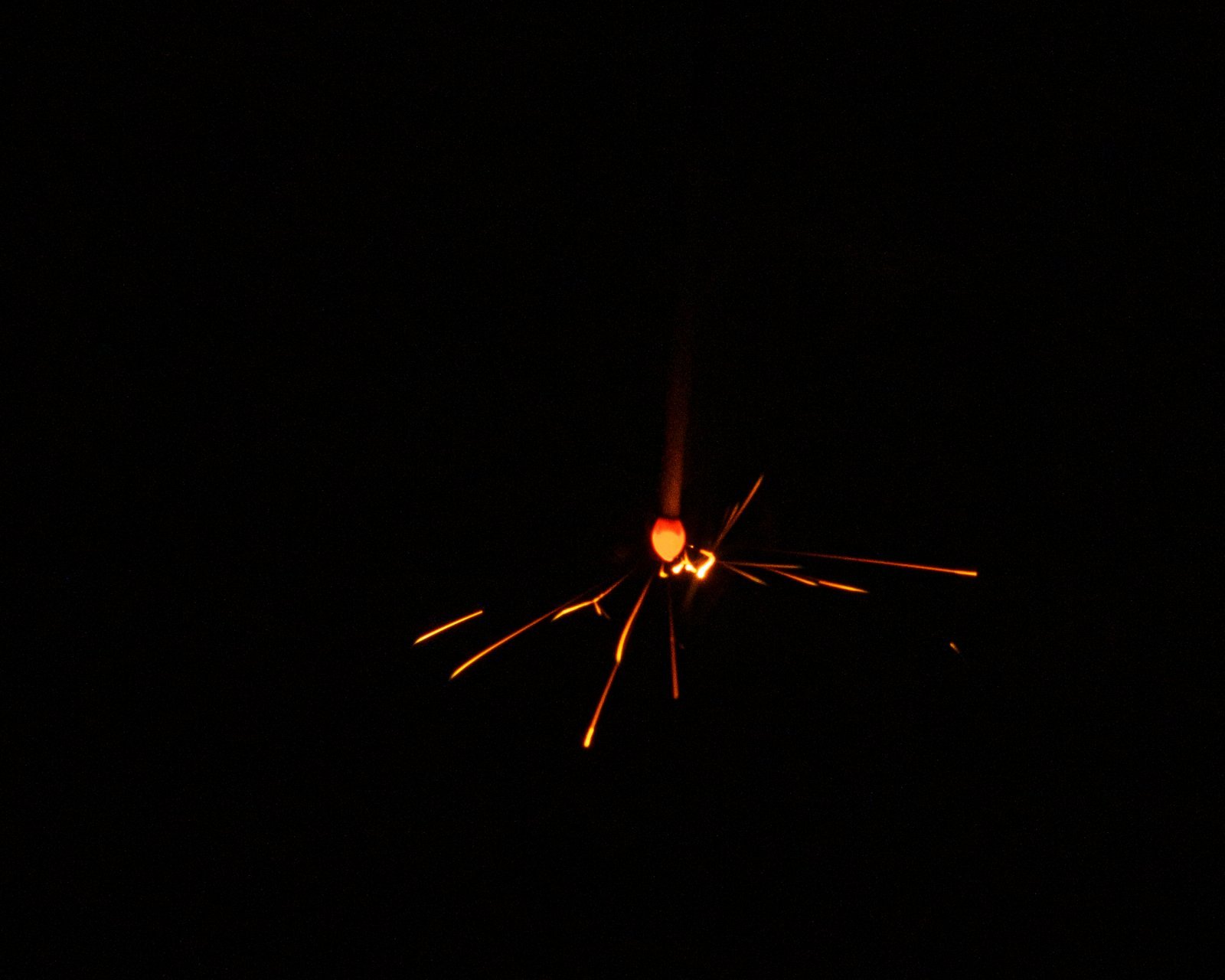 DSC08922.jpg