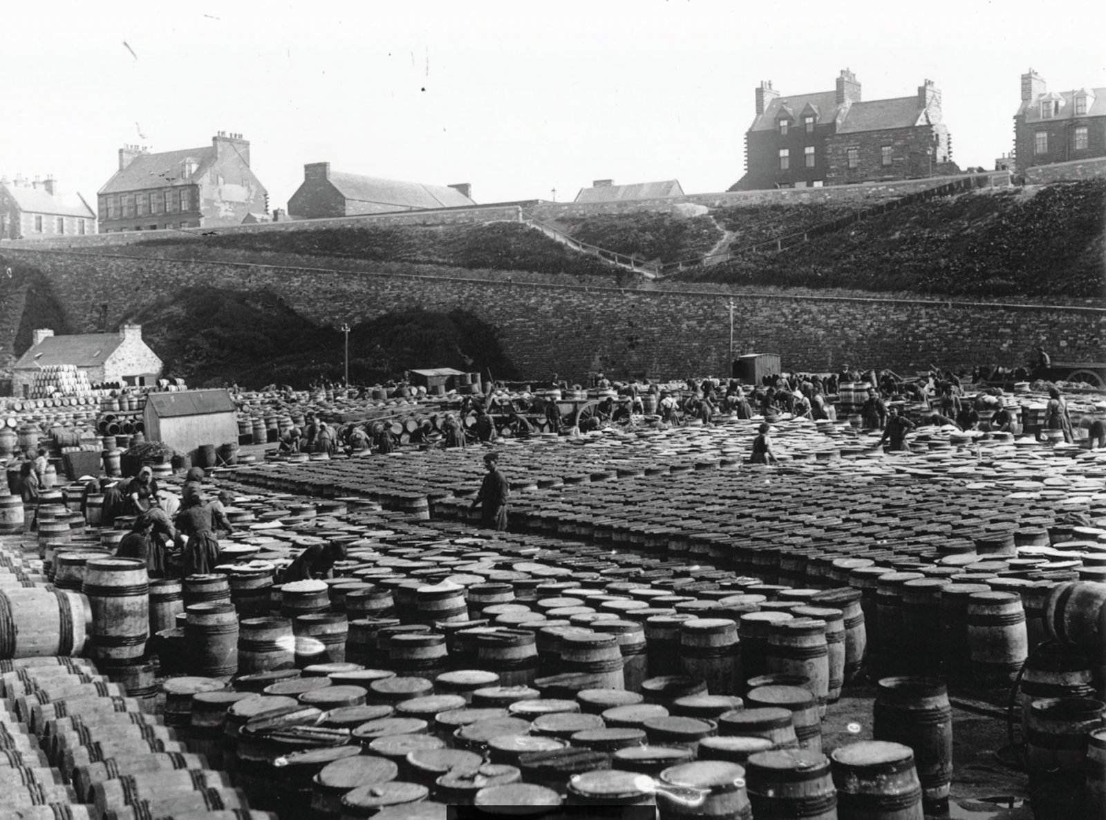 Distillery - CREDIT 'The Wick Society, Johnston Photographic Collection'.jpg