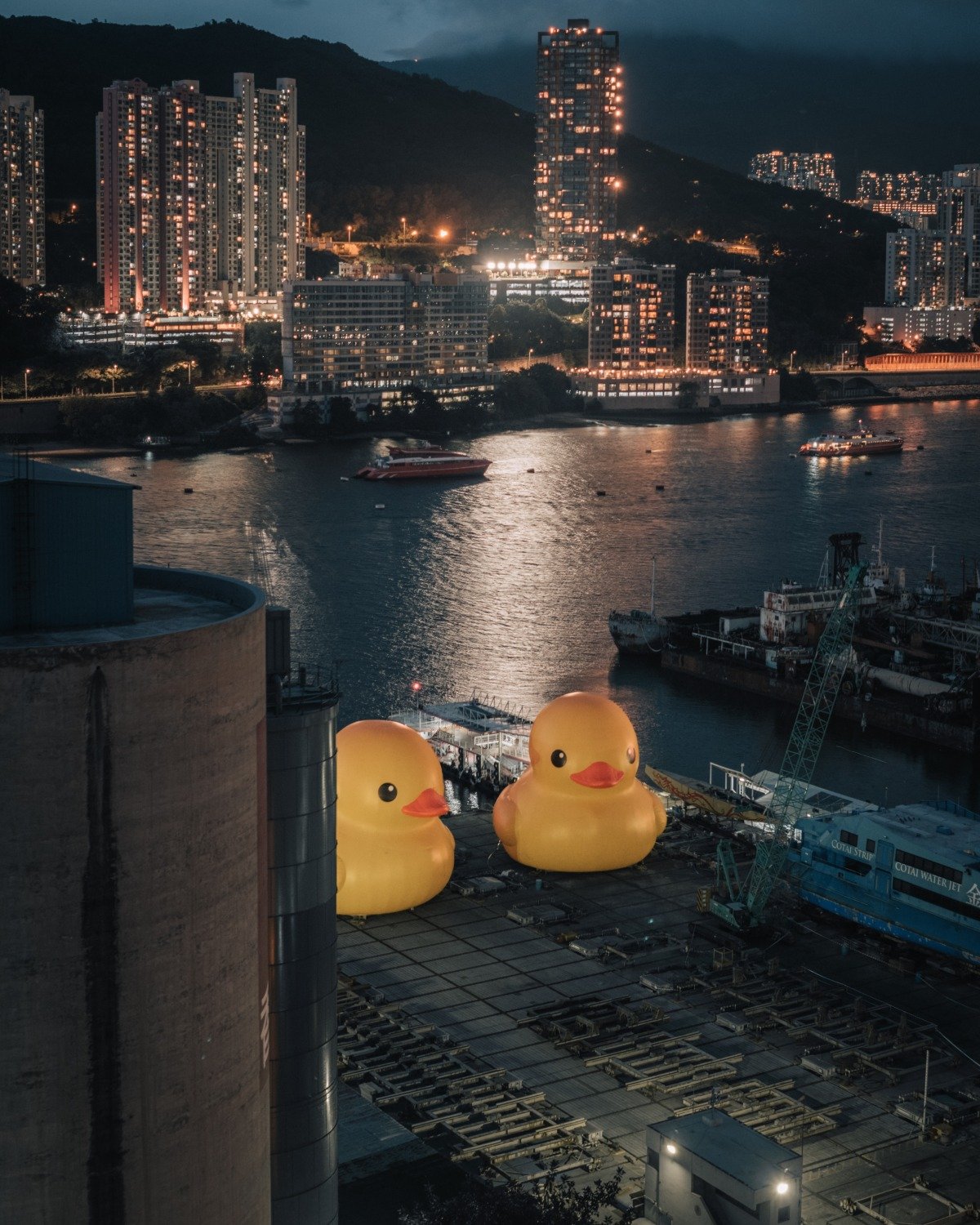 巨大な二羽のアヒルが香港に出現、「Double Ducks」が街のいたるところ