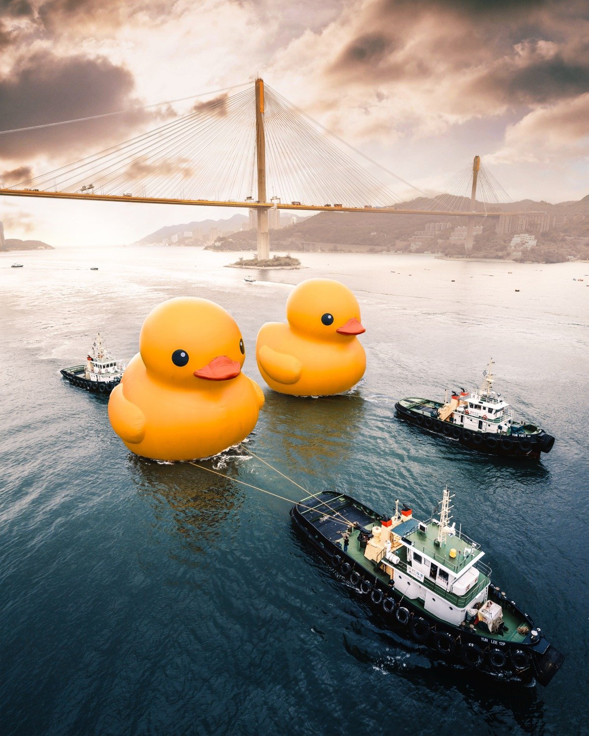 DoubleDucks_main.JPG