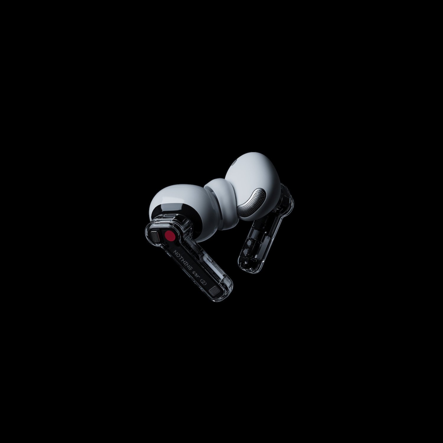 Ear2_6.jpg