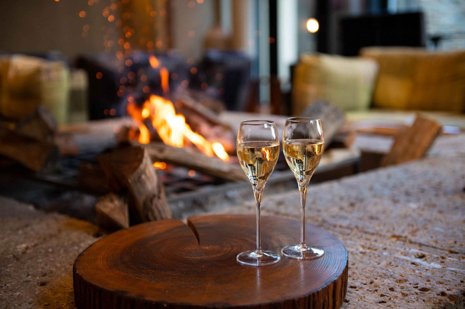 HAKHR_P544_Living_Room_Fire_Place.jpg