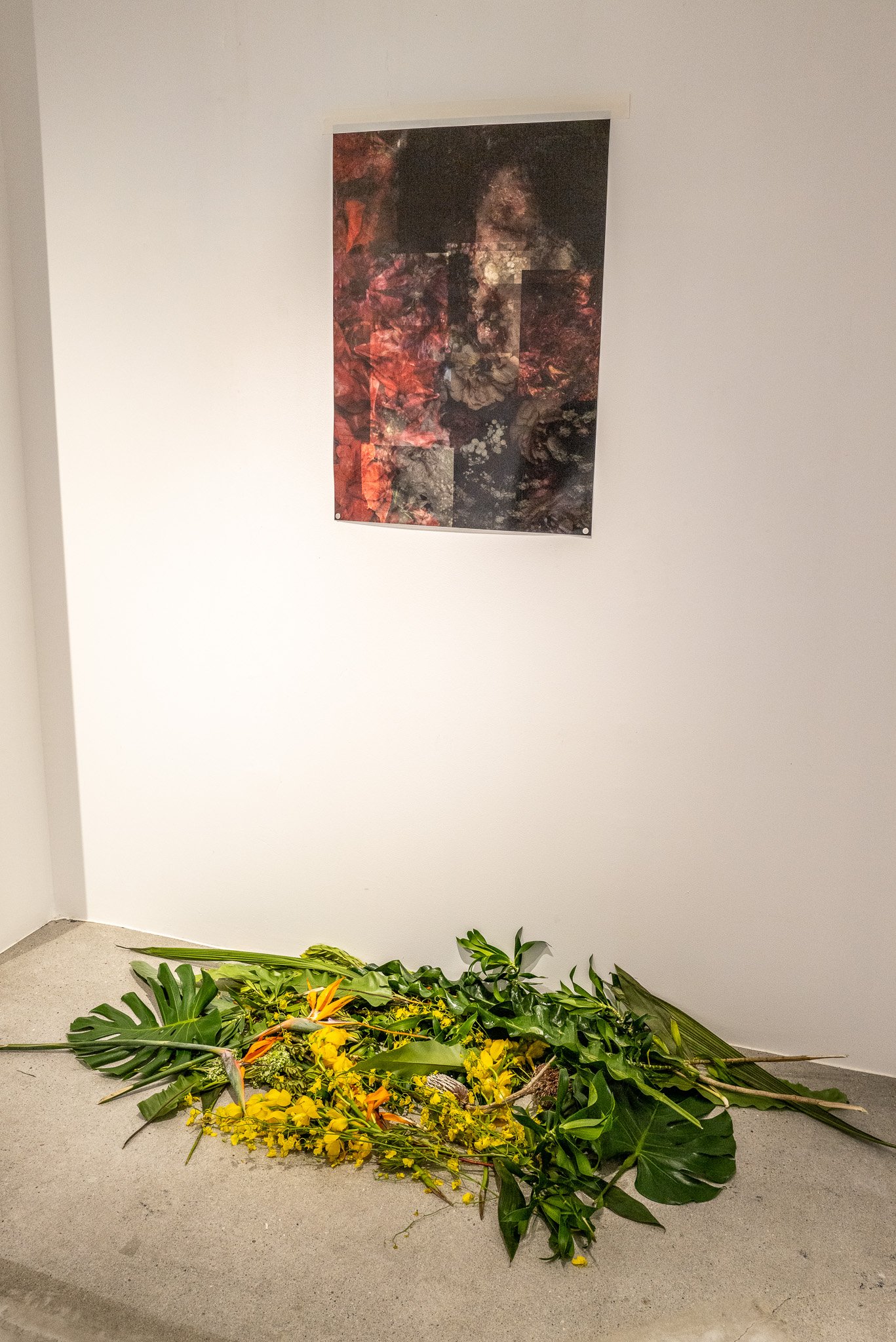 L1035754.jpg