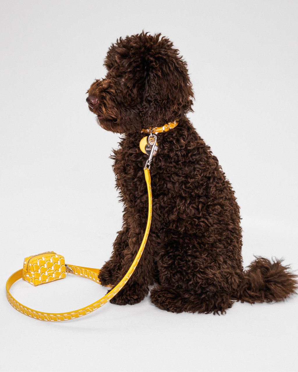 MOYNAT_PET_CAMPAIGN_NOLOGO_16.jpeg