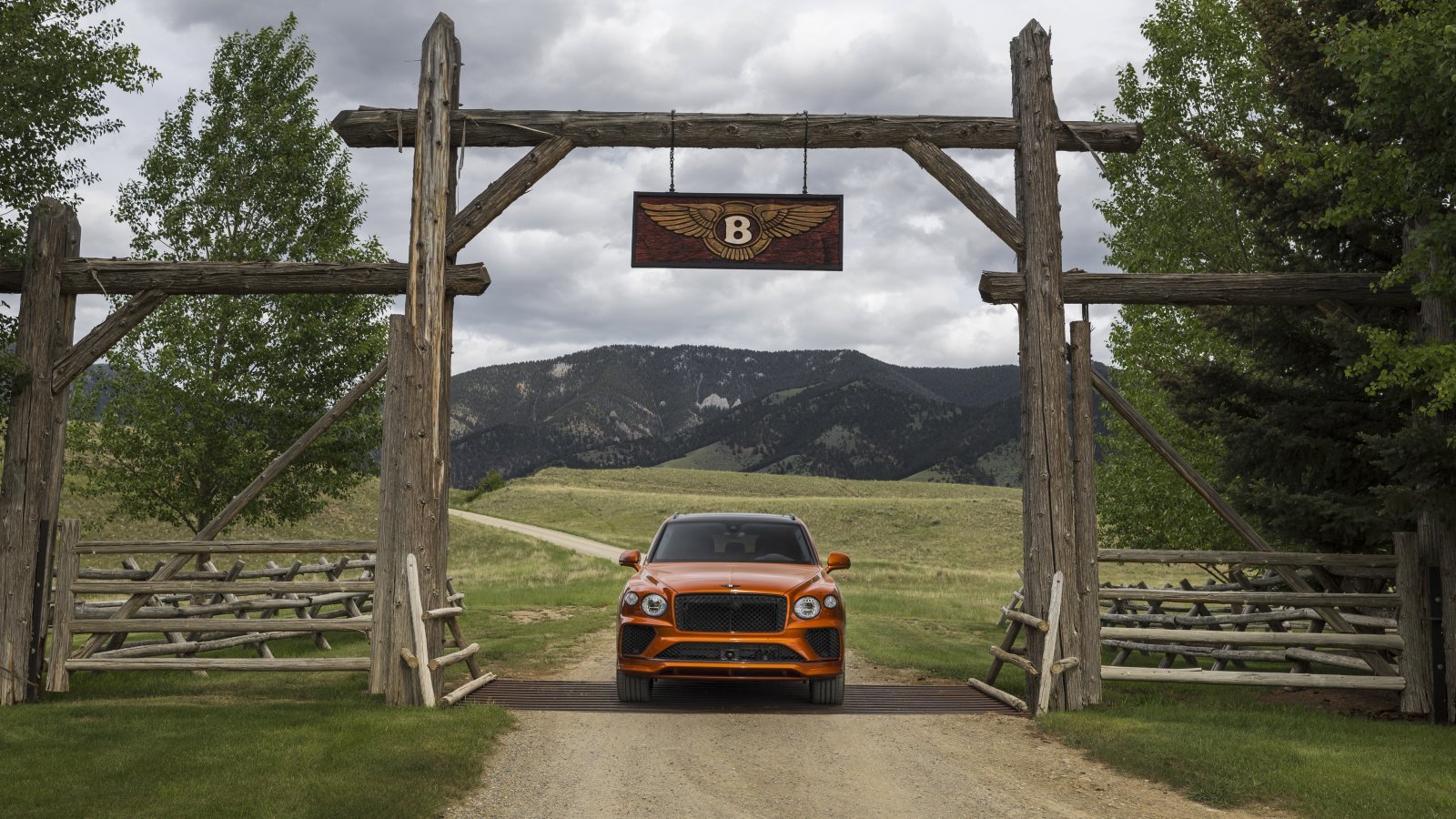 Orange Flame - 17.jpg