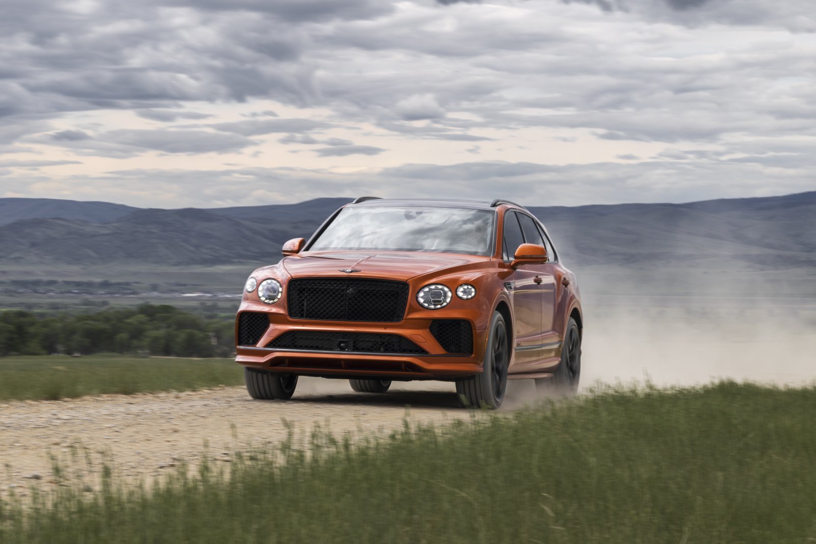 Orange Flame - 29.jpg