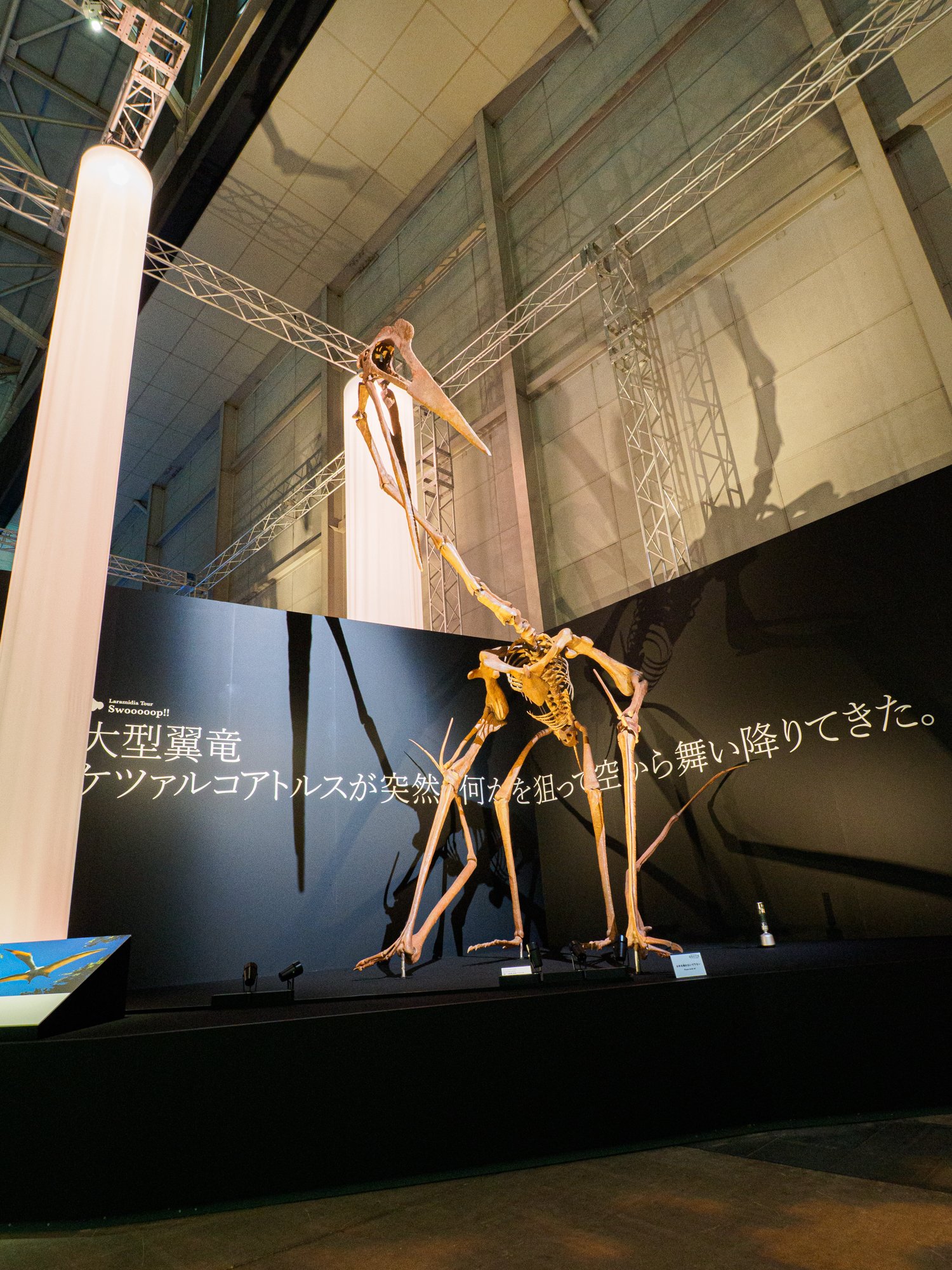 P7160047.jpg