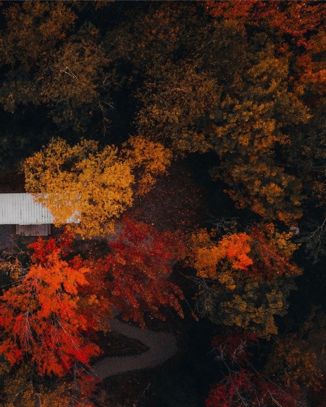 SHISHIP_Autumn6.jpg