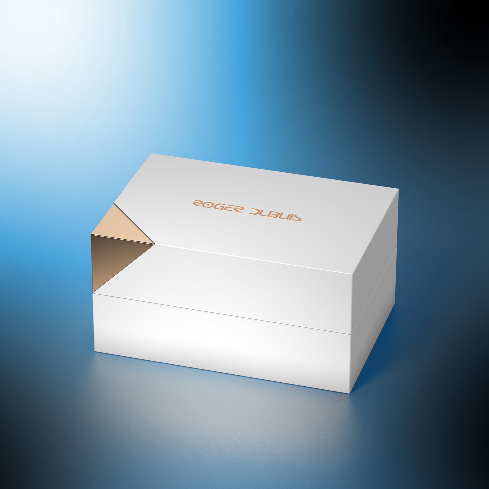 Soyarama_Watchcase_Close_05[8].jpg