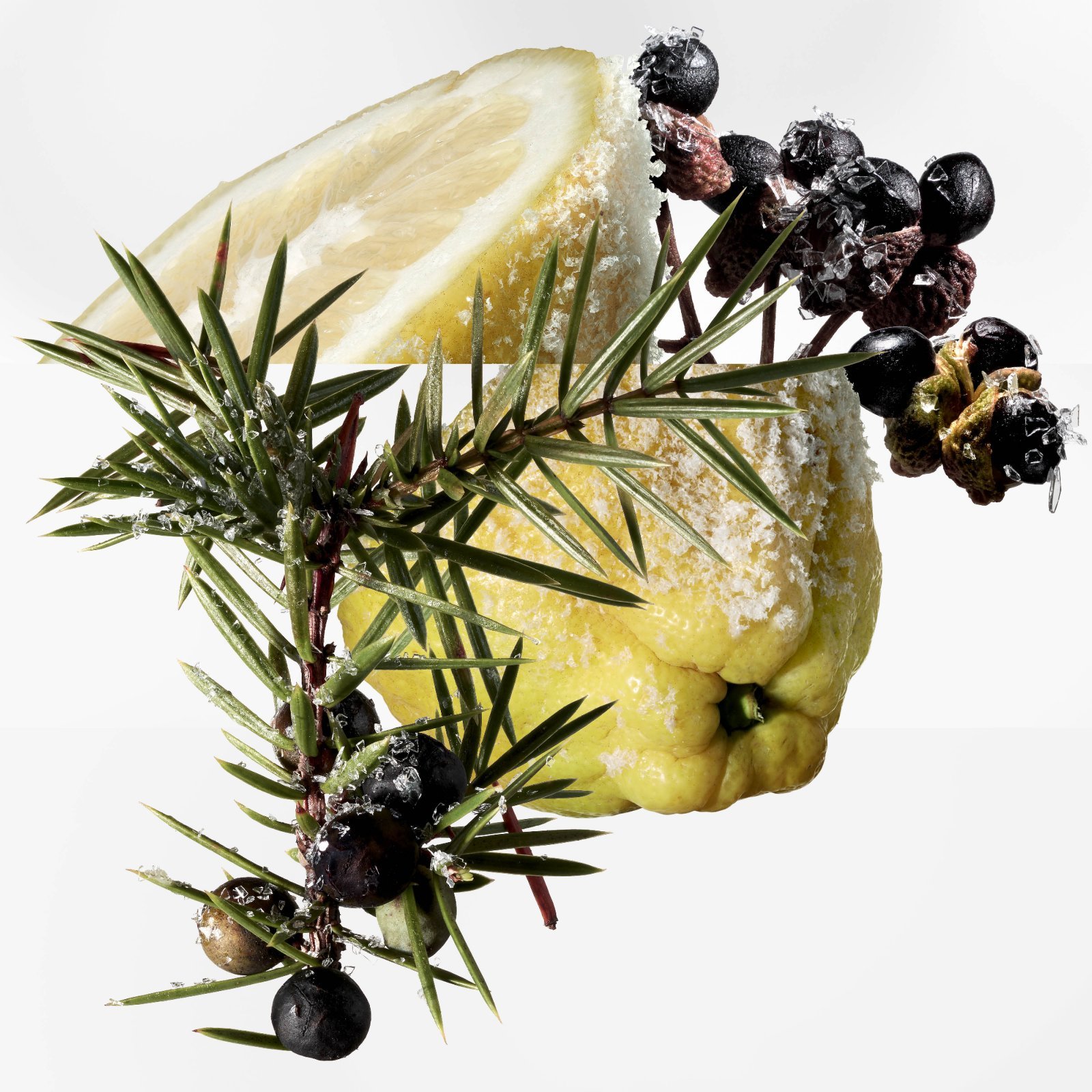 Terre d'Hermes Eau Givree - visuel ingredients Thomas de Monaco.jpg