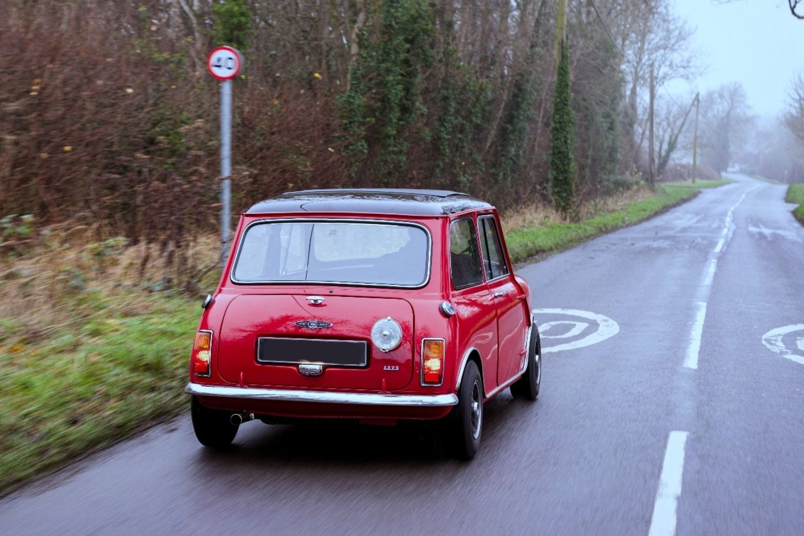 Tolman Mini dynamic 7.jpg