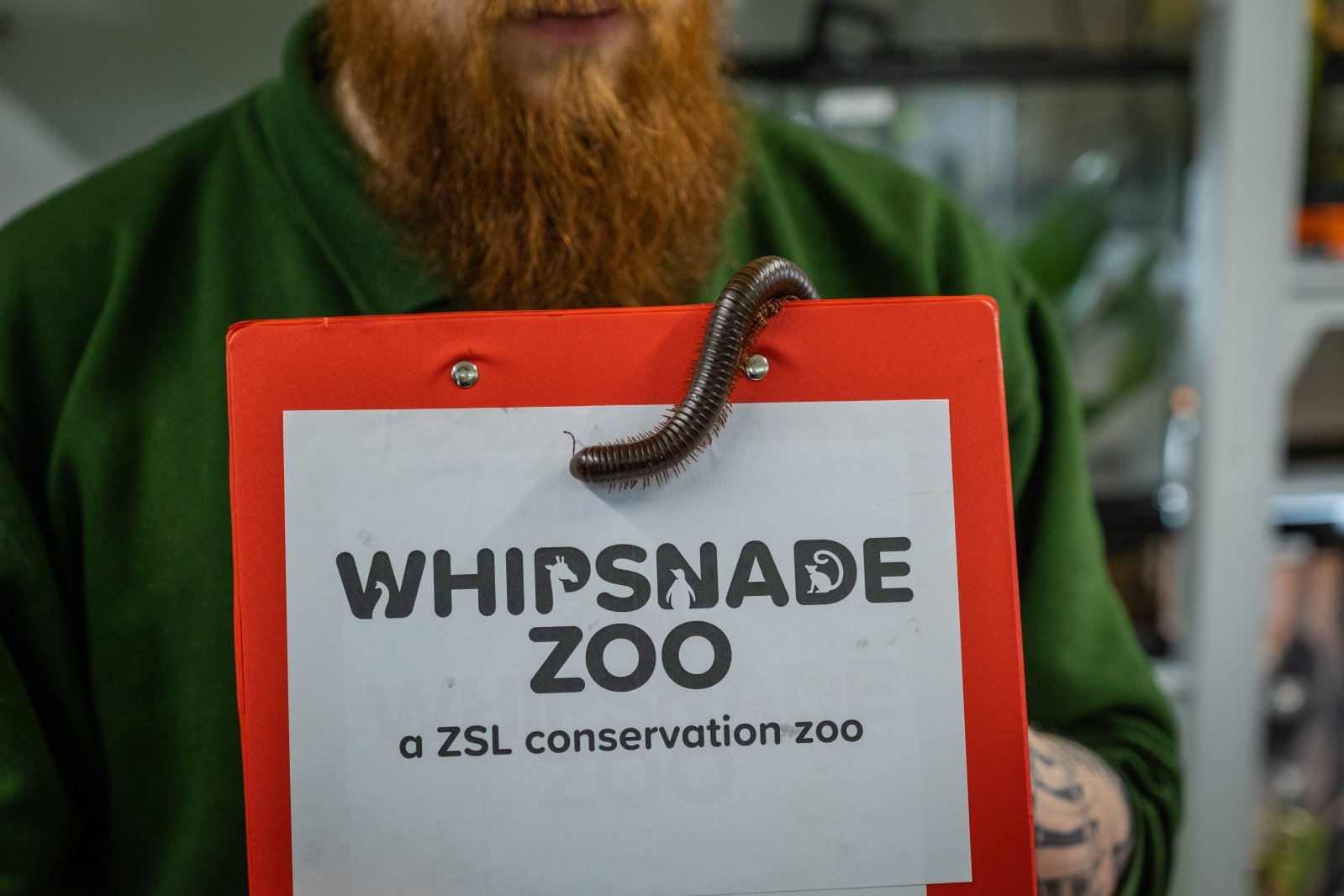Whipsnade Zoo Annual Stocktake 2023 cZSL (10).jpg