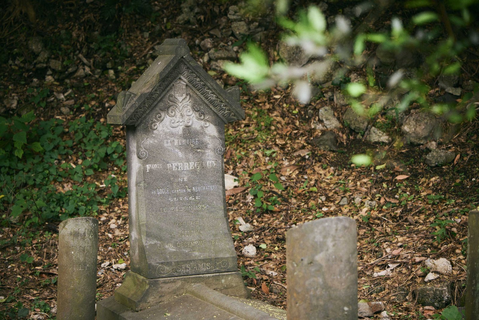_22A8512web.jpg