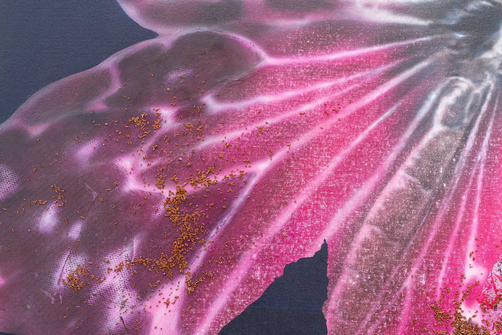 _A7C6912.jpg