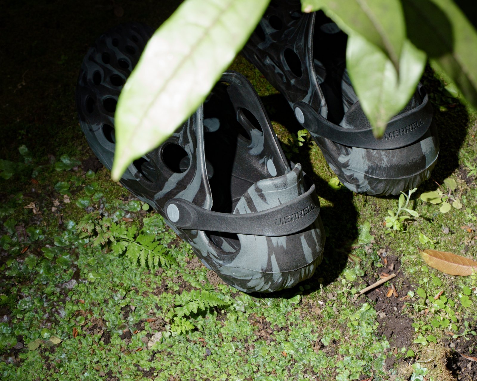 _DSC8090.jpg
