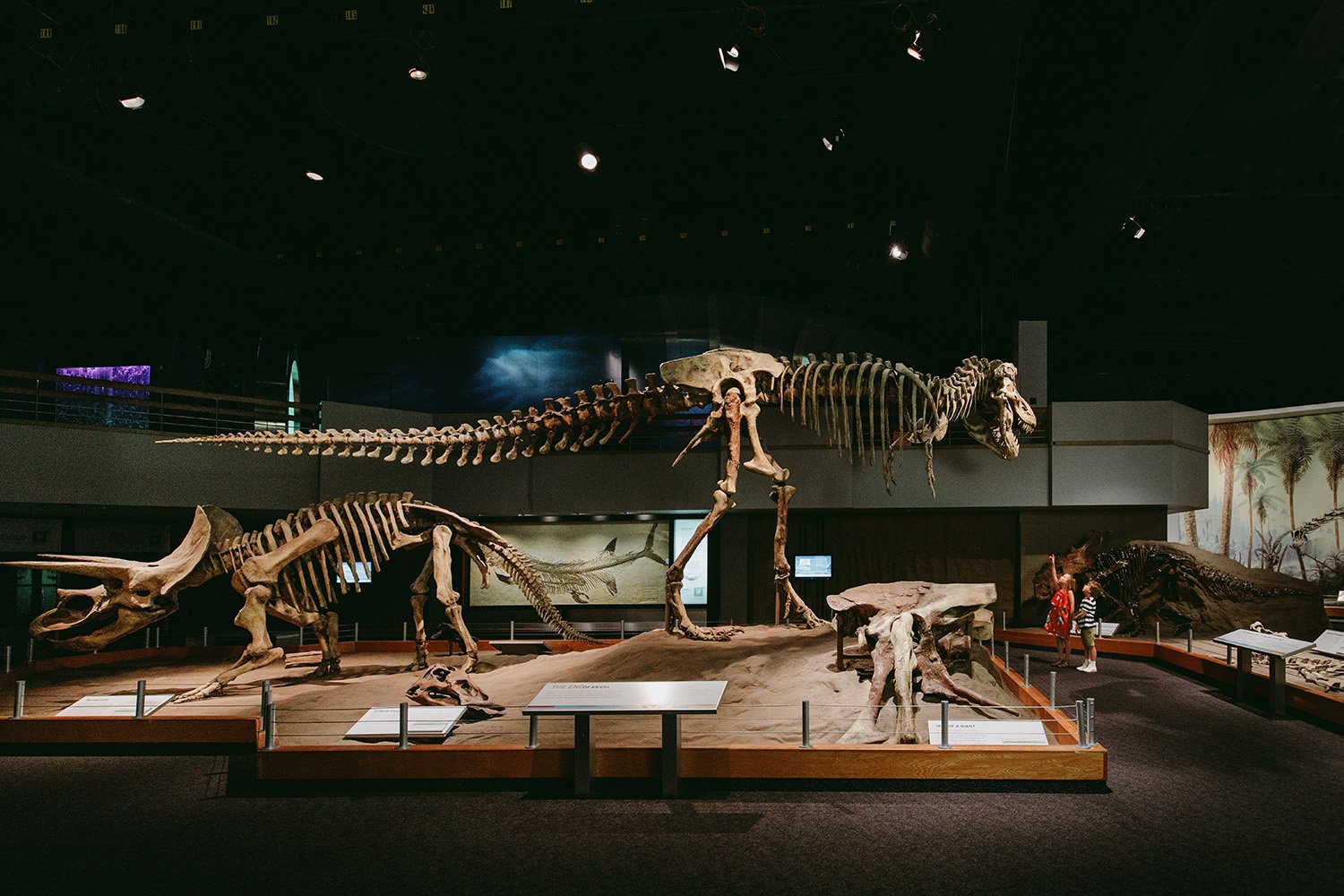 a17-020727--High-Res_Royal Tyrrell Museum JPG.jpg