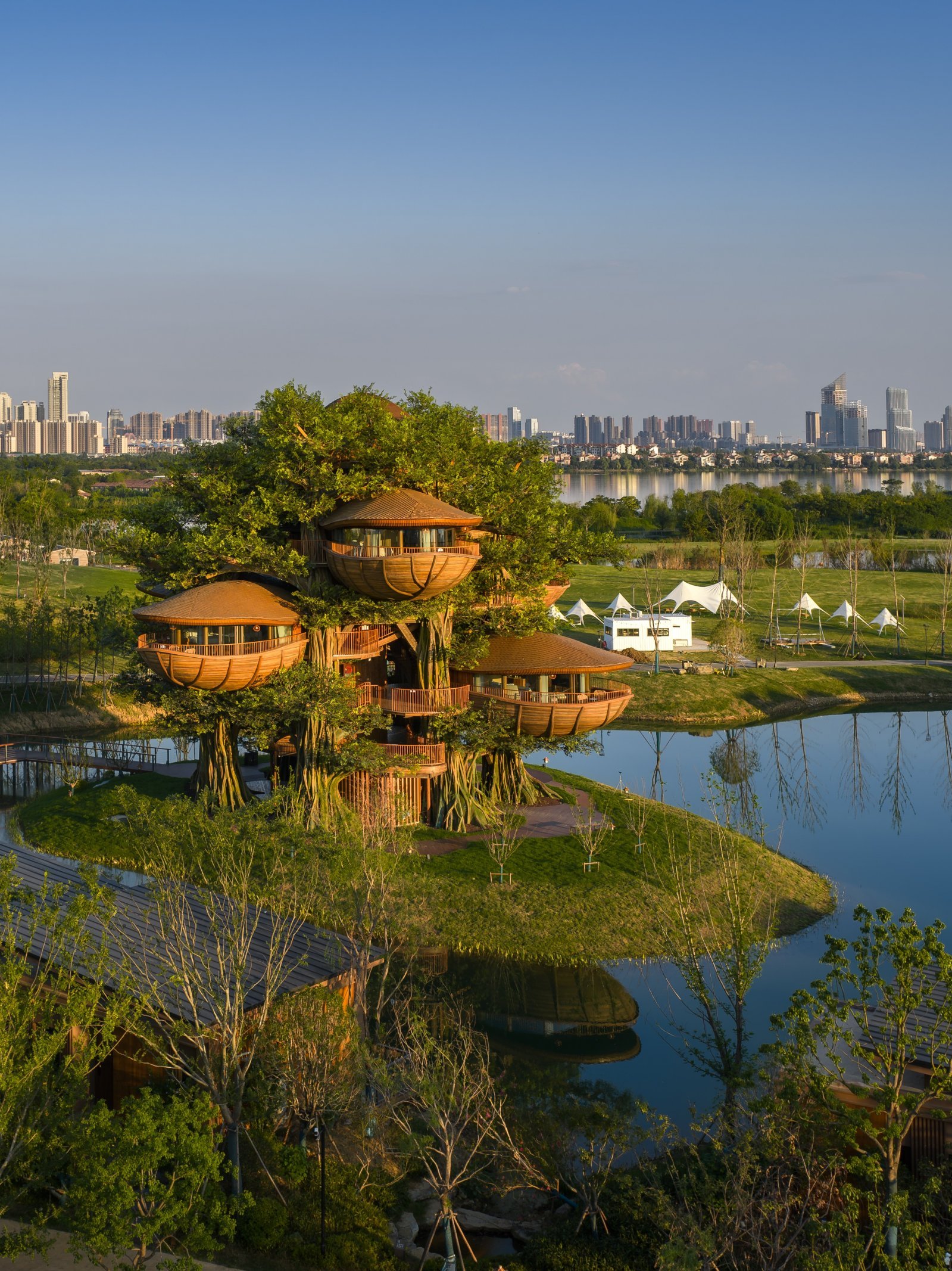 ガジュマル  DJI_20250818181917_0195_D-2.jpg