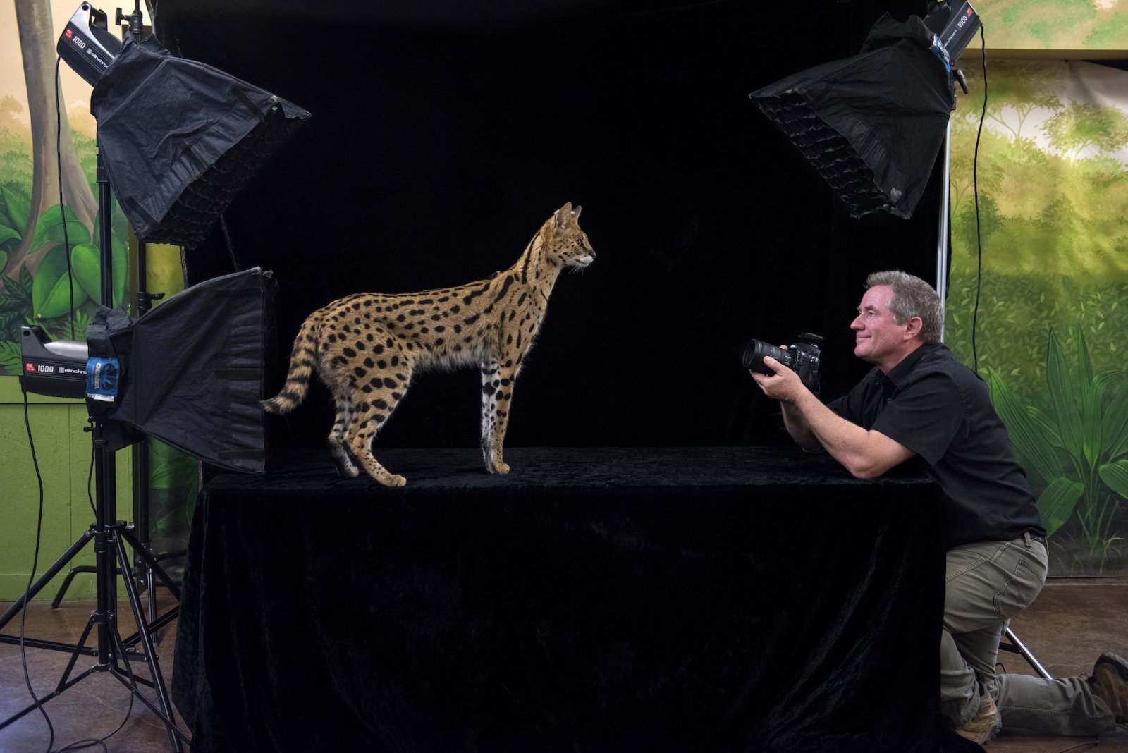 23 - ロゴなしJoel Sartore with Serval_cr Cole Sartore-National Geographic Photo Ark_ONA001-00013_HR.jpg