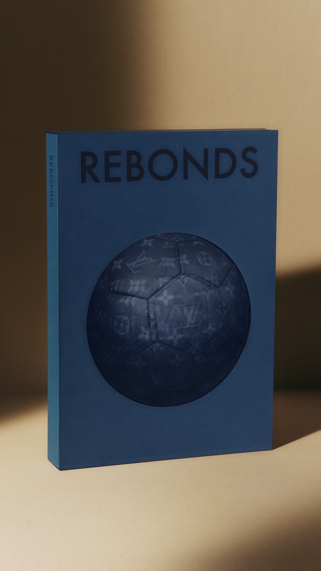 REBONDS - STILL LIFE (2).jpg